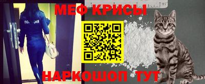 стафф Заводоуковск