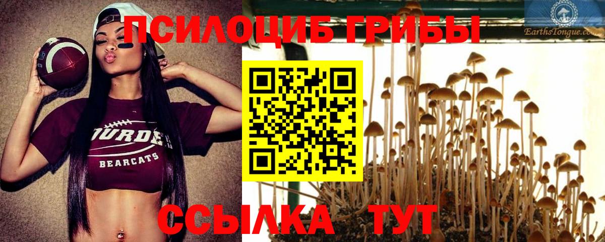 МЕФ Янаул