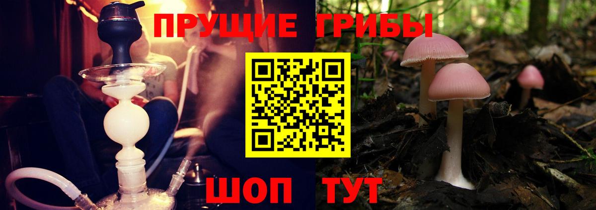 Янаул  Галлюциногенные грибы прущие грибы  Псилоцибиновые грибы Psilocybe  Вход с VPN 